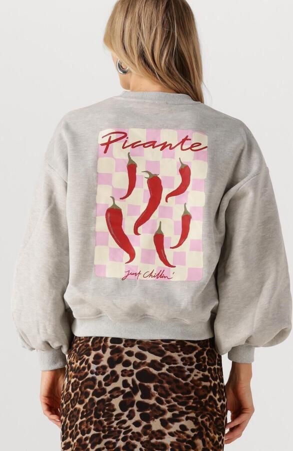 YDENCE Dames Truien & Vesten Sweater Just Chillin Grijs - Foto 3