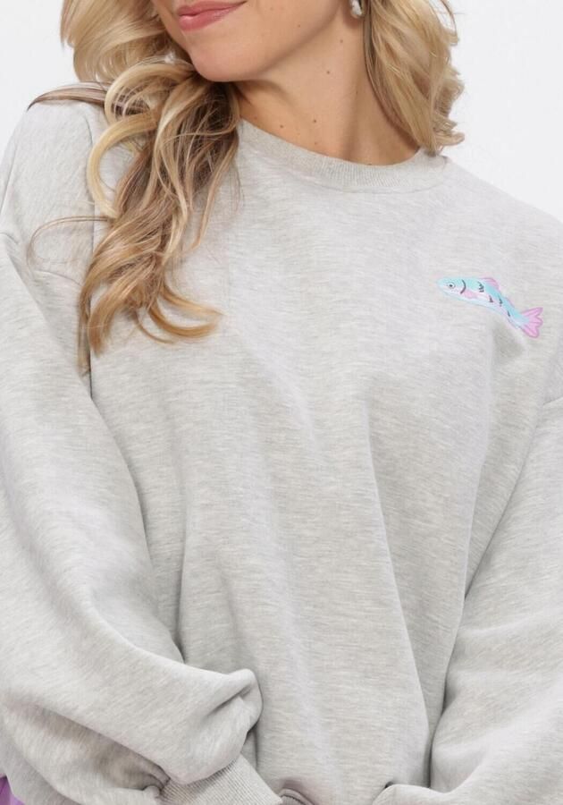 YDENCE Dames Truien & Vesten Sweater True Catch Lichtgrijs - Foto 4