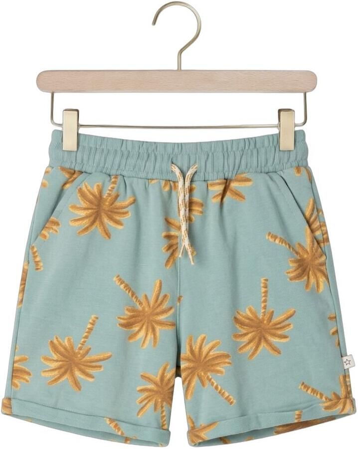 YOUR WISHES Jongens Broeken Palms Relaxed Shorts Mint