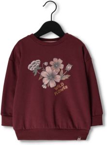 Z8 Bordeaux Trui Moesala