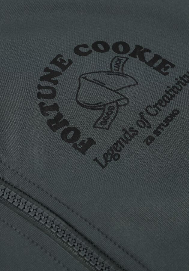 Z8 Jongens Truien & Vesten Finch Antraciet - Foto 2