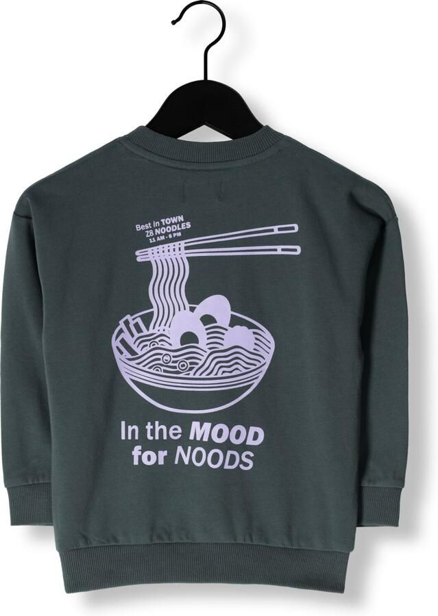 Z8 Jongens Truien & Vesten Jurgen Donkergroen - Foto 2