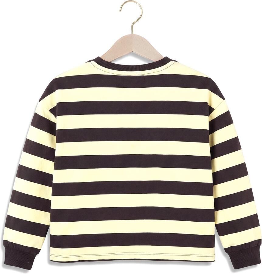 Z8 kids gestreepte sweater donkerbruin lichtgeel Meisjes Stretchkatoen Ronde hals - Foto 2