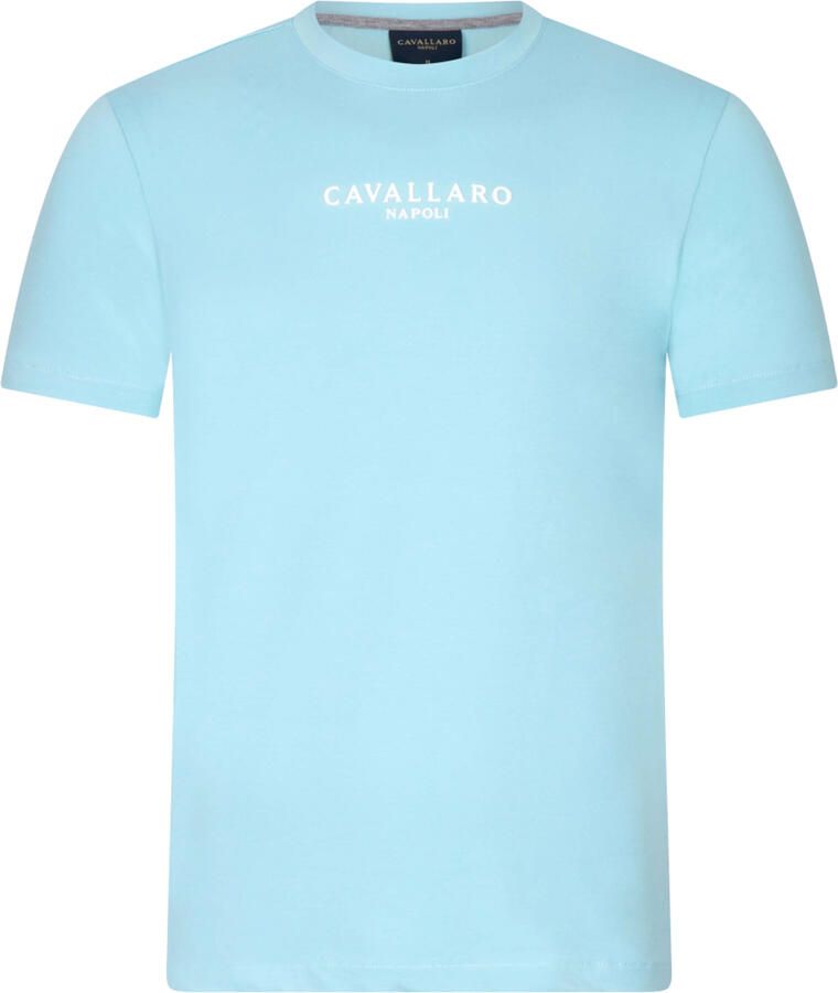 Cavallaro Napoli regular fit T-shirt Mandrio met logo aqua - Foto 3
