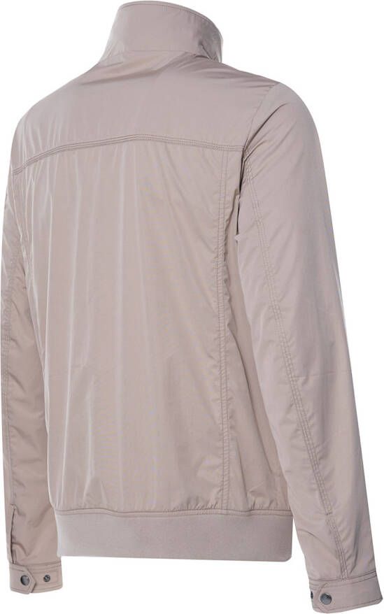 campbell Windsor Jack