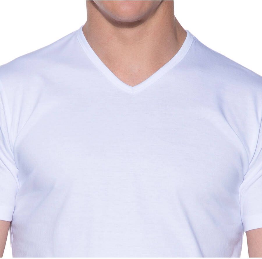 slater Regular fit Extra long Heren T-shirt V-hals