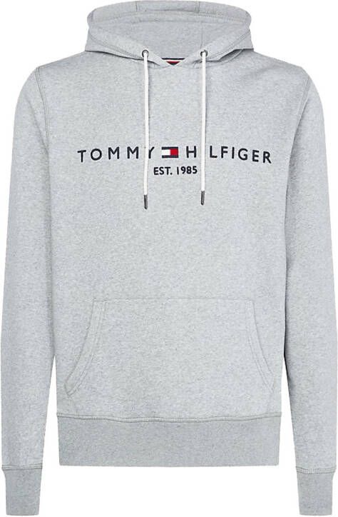 Tommy Hilfiger Menswear Hoodie