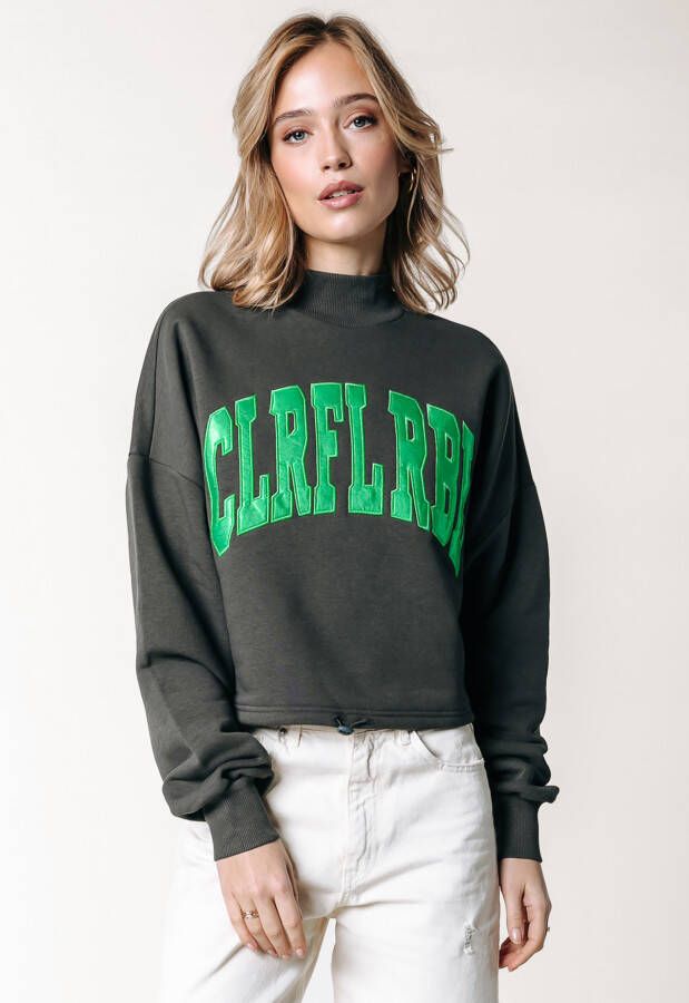 Colourful Rebel Logo Patch Sweater