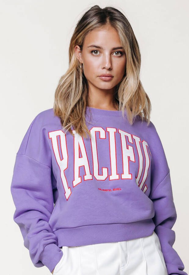 Colourful Rebel Pacific Patch Cropped Sweater