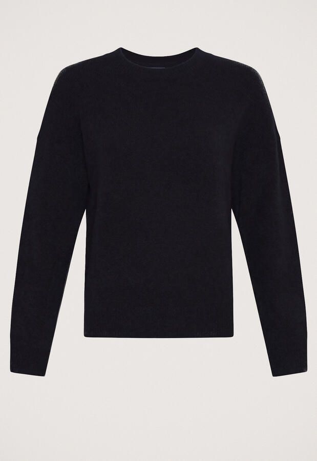 MSCH Copenhagen Festina Hope Trui