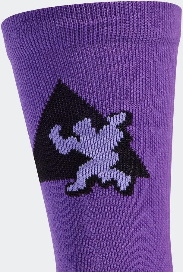 Adidas Perfor ce Functionele sokken PRIDE 2PP SO - Foto 3