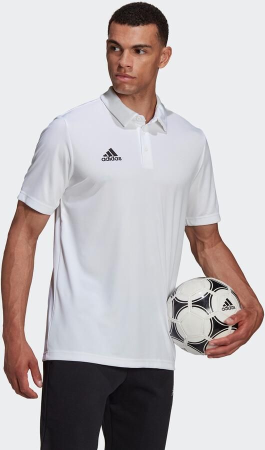 Adidas Performance Poloshirt ENT22 POLO - Foto 7