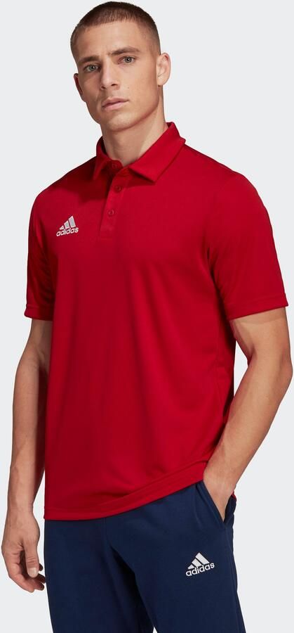 Adidas Performance Poloshirt ENT22 POLO - Foto 7