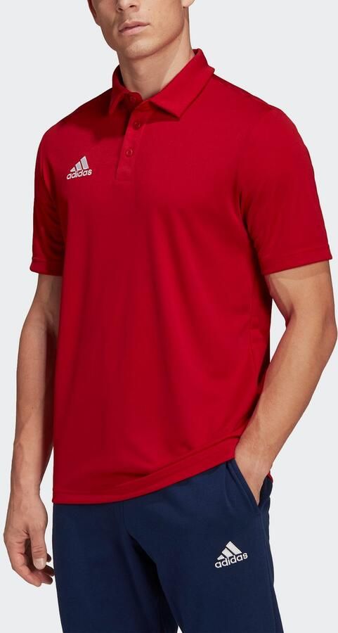 Adidas Performance Poloshirt ENT22 POLO - Foto 5