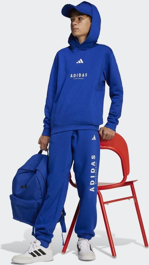 Adidas Perfor ce Rugzak CLSC BARS BP - Foto 5