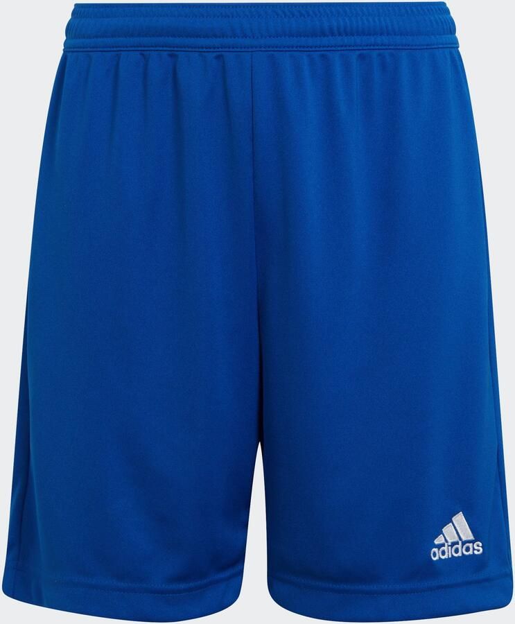 Adidas Performance Junior sportshort kobaltblauw Sportbroek Jongens Meisjes Gerecycled polyester (duurzaam) 152 - Foto 4