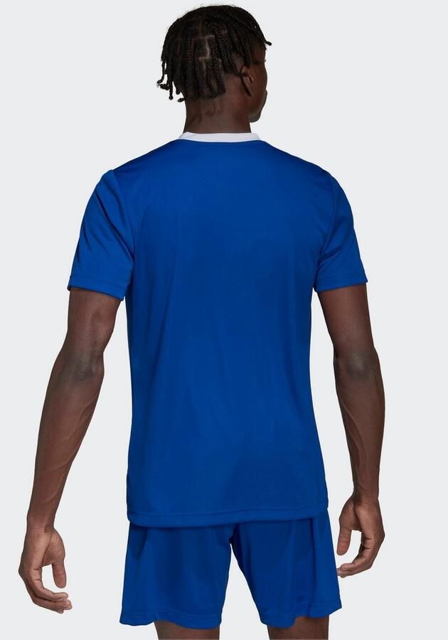 Adidas Performance Entrada 22 Voetbalshirt - Foto 5