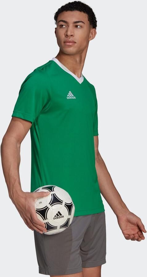 Adidas Performance Entrada 22 Voetbalshirt - Foto 5