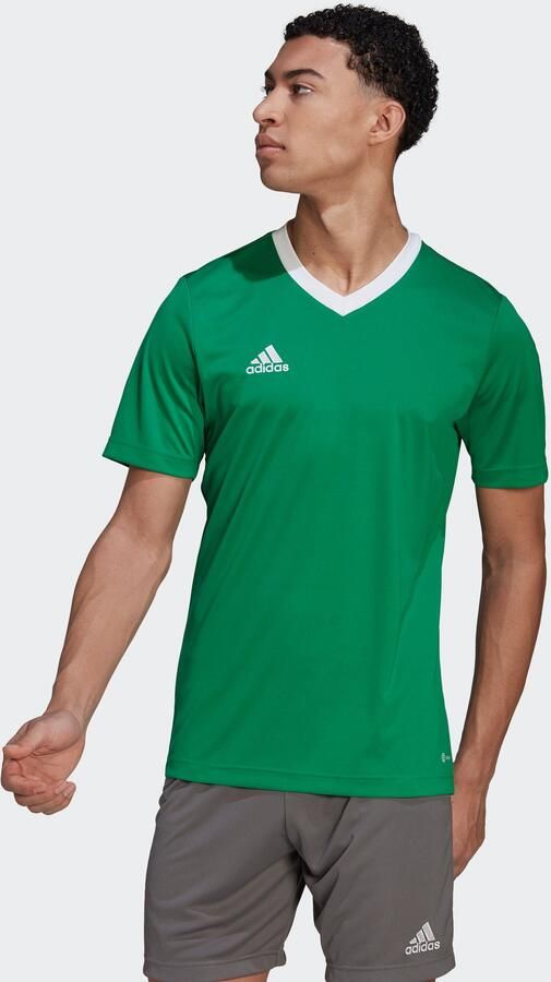 Adidas Performance Entrada 22 Voetbalshirt - Foto 4