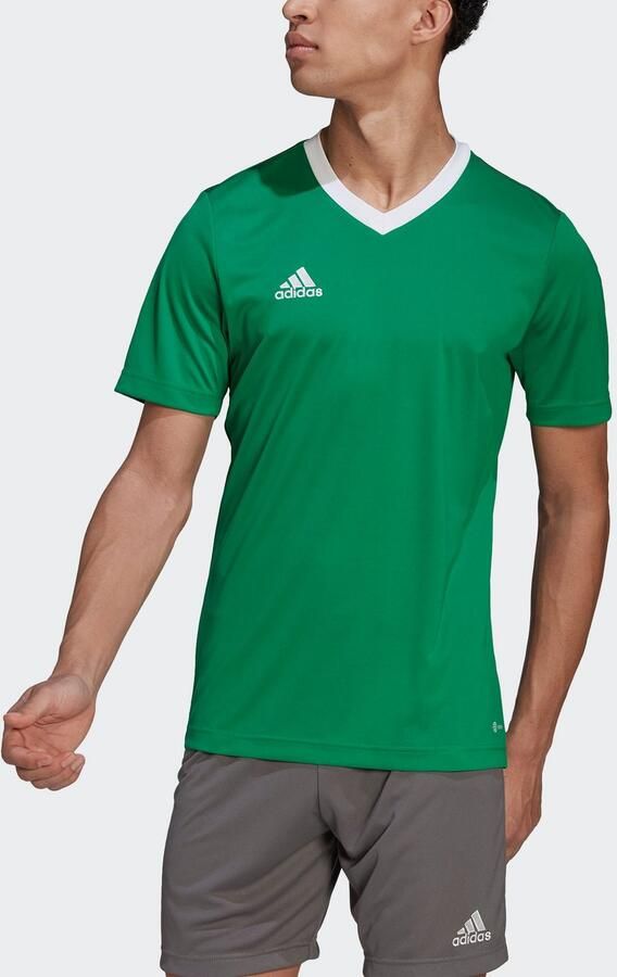 Adidas Performance Entrada 22 Voetbalshirt - Foto 3