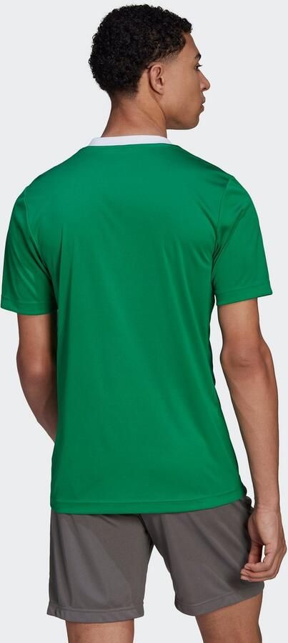Adidas Performance Entrada 22 Voetbalshirt - Foto 6