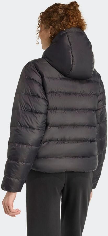 Adidas Sportswear Gewatteerde jas W ESS LD HD JKT - Foto 7