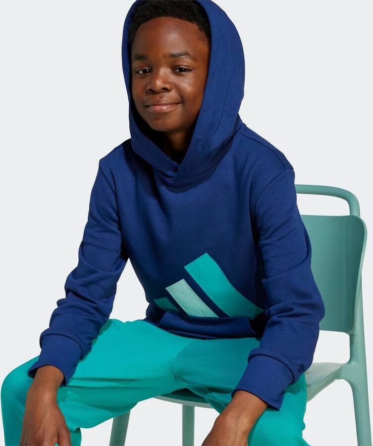 Adidas Sportswear Hoodie J BL FT HD 280