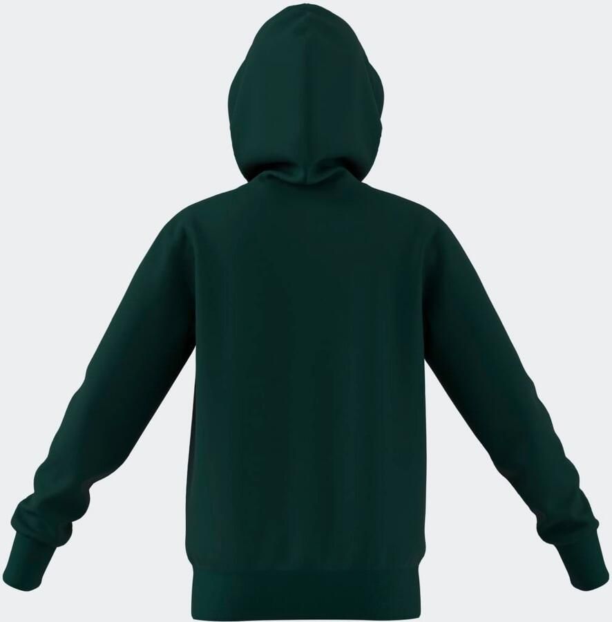 Adidas Sportswear Hoodie J BL FT HD 280