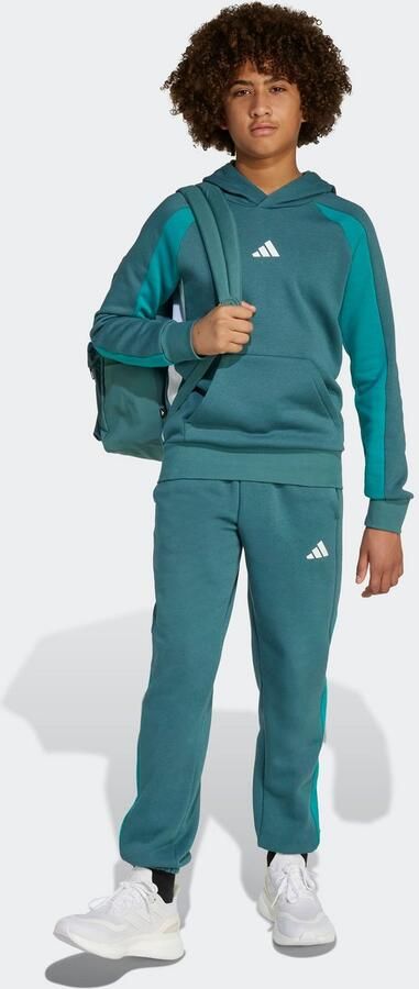 Adidas Sweater Seasonal Essentials Colorblock Fleece Hoodie Kids - Foto 8