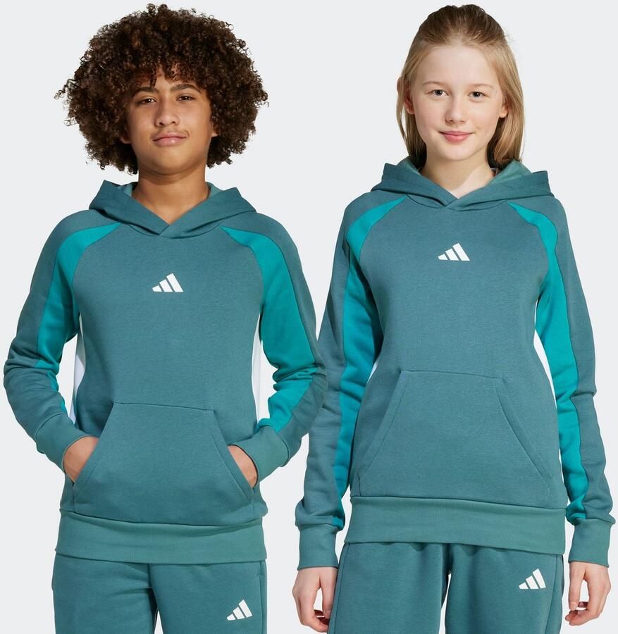 Adidas Sweater Seasonal Essentials Colorblock Fleece Hoodie Kids