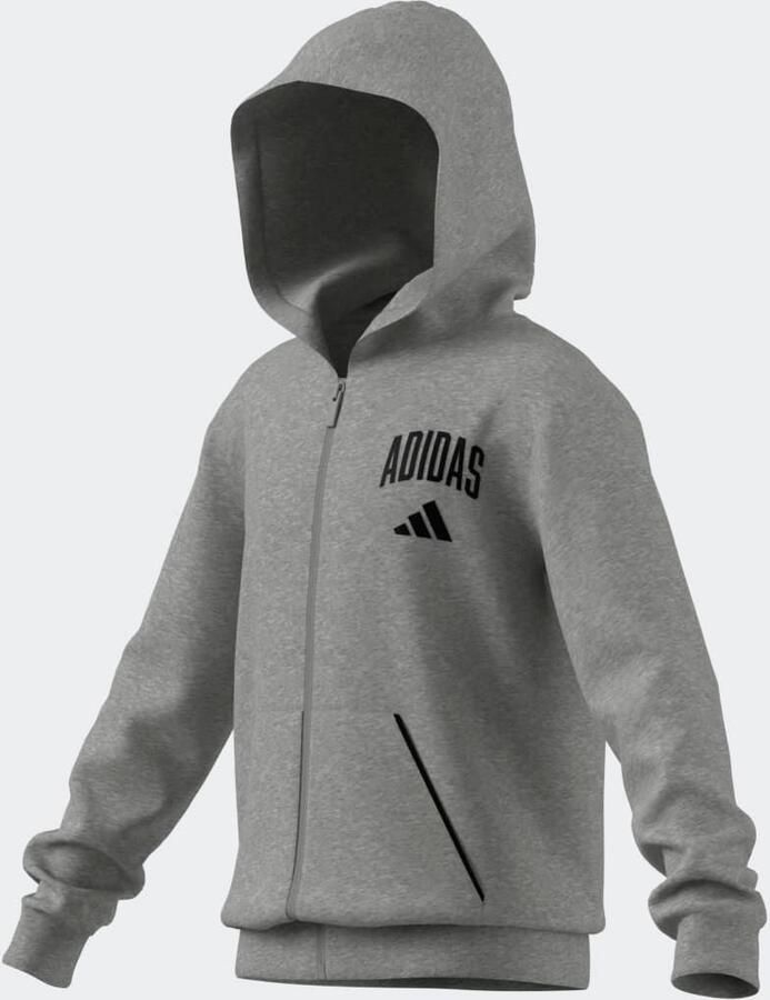 Adidas Sportswear Hoodie J CLGT FT FZ - Foto 2