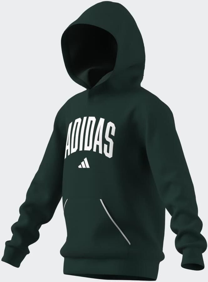 Adidas Sportswear Hoodie J CLGT OH FL HD - Foto 5