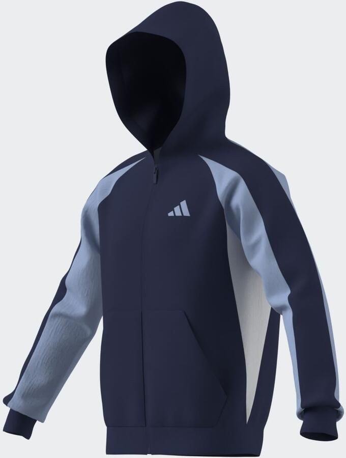 Adidas Seasonal Essentials Colorblock Ritshoodie - Foto 2