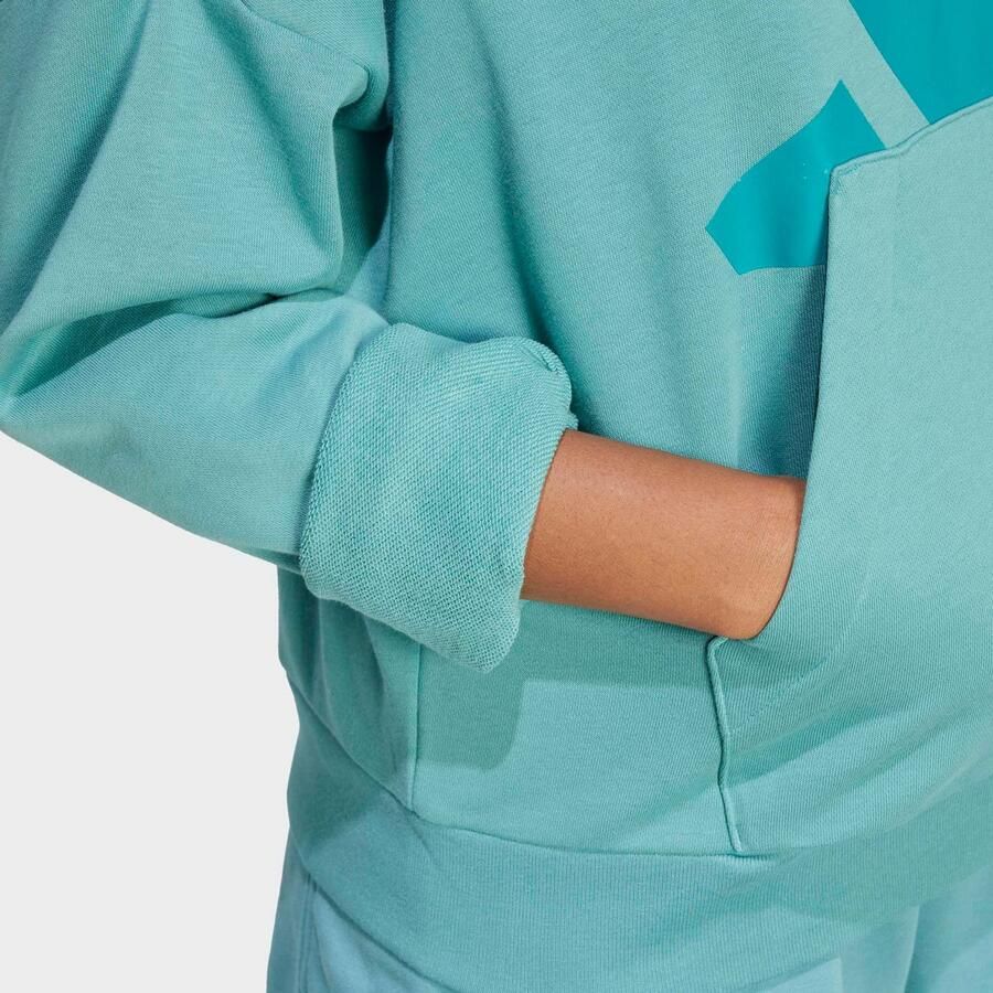 Adidas Sportswear Hoodie W BL FT HD