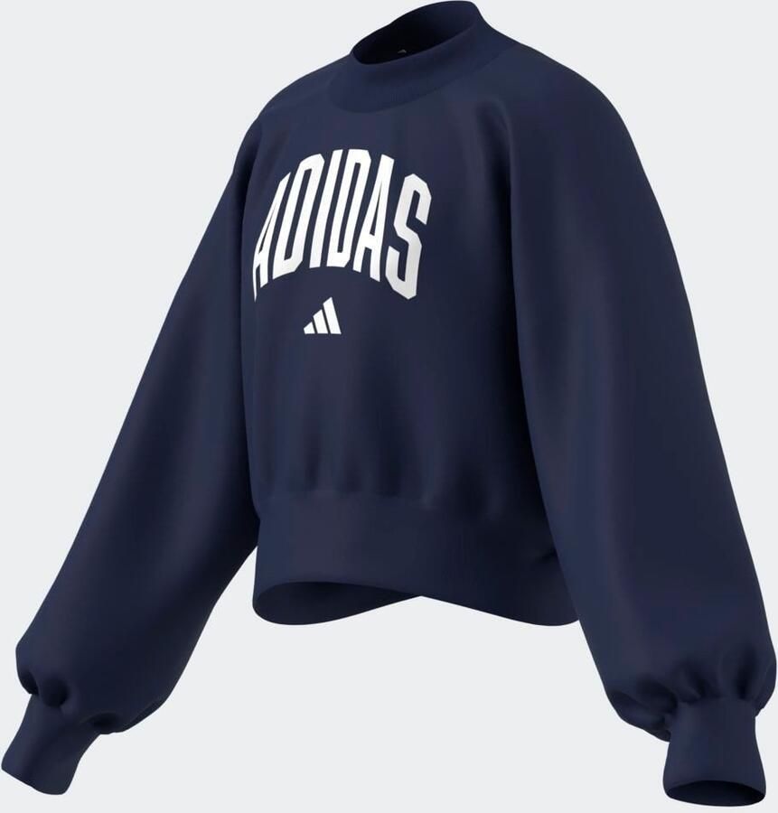 Adidas Sportswear Sweatshirt JG CLGT FT SWT