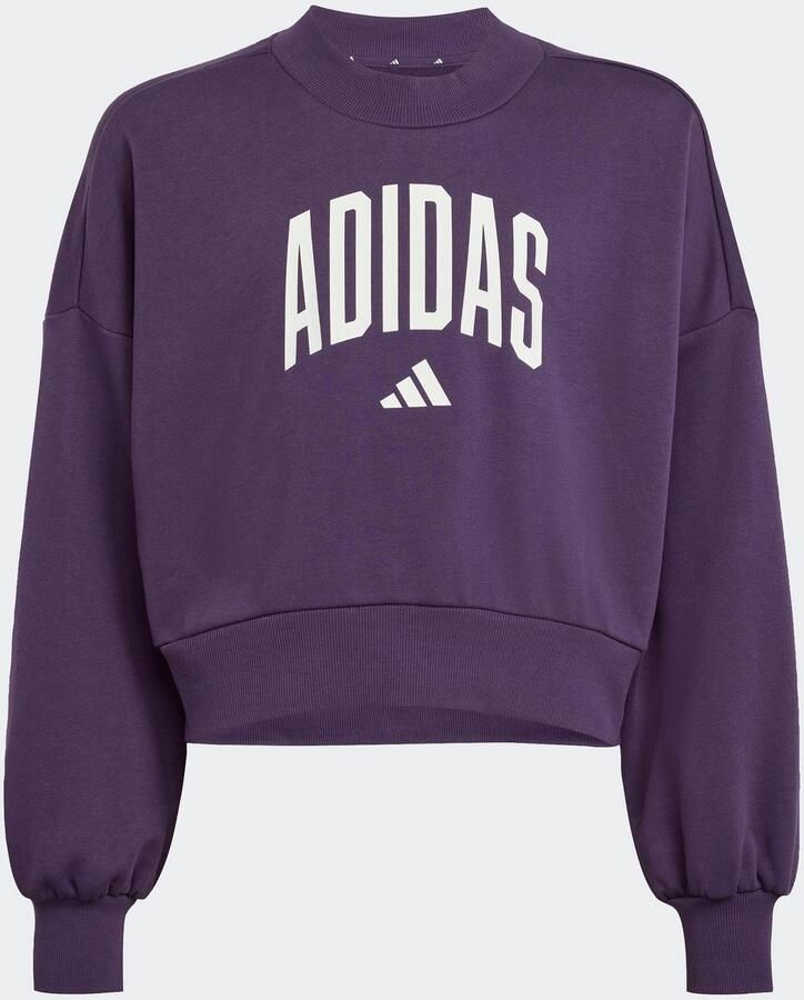 Adidas Sportswear Sweatshirt JG CLGT FT SWT - Foto 4
