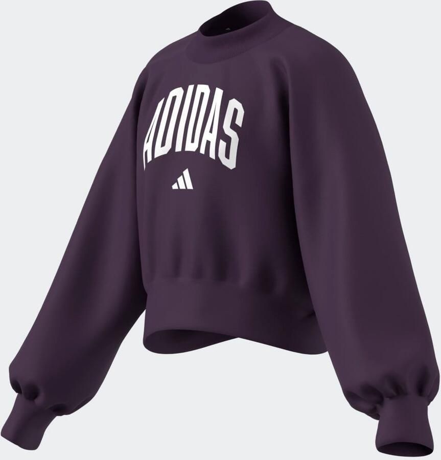 Adidas Sportswear Sweatshirt JG CLGT FT SWT - Foto 2