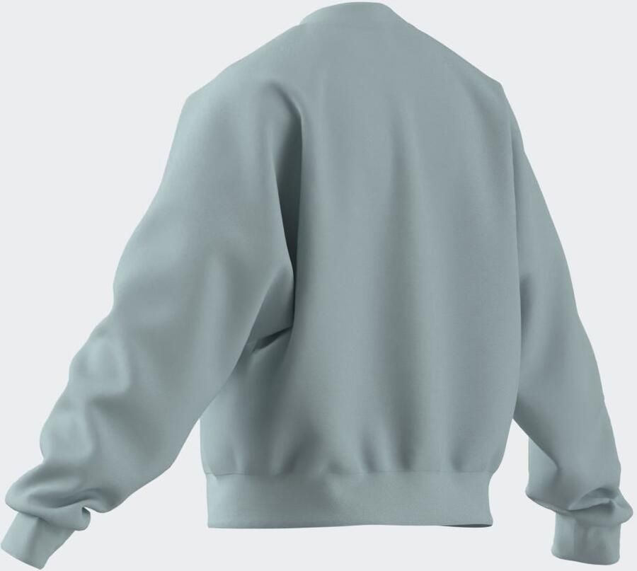 Adidas Sportswear Sweatshirt W SL FC SWT