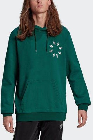 Adidas Originals Hoody Hc4491 Groen Heren