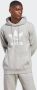Adidas Klassieke Trefoil Lichtgewicht Hoodie Grijs Gray Heren - Thumbnail 7