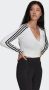 Adidas Originals Shirt met lange mouwen ADICOLOR CLASSICS CROPPED LONGSLEEVE - Thumbnail 2