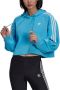 Adidas Originals Sweatshirt ADICOLOR CLASSICS CROP HOODIE - Thumbnail 2
