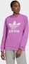 Adidas Lichtgewicht Crewneck Trefoil Sweatshirt Violet Purple Dames - Thumbnail 1