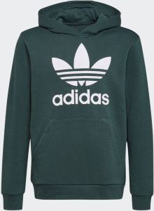 Adidas Originals Sweatshirt TREFOIL HOODIE