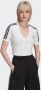 Adidas Originals Stijlvolle Witte Cropped Tee Hc2036 White Dames - Thumbnail 3