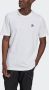 Adidas Originals Essentials T-shirt T-shirts Kleding white maat: XS beschikbare maaten:XS S M L XL - Thumbnail 2