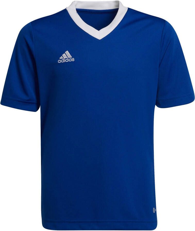 Adidas Perfor ce junior voetbalshirt kobaltblauw Sport t-shirt Gerecycled polyester Ronde hals 164