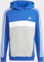 Adidas Sportswear Tiberio 3-Stripes Colorblock Fleece Hoodie Kids - Thumbnail 2