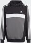 Adidas Sportswear Tiberio 3-Stripes Colorblock Fleece Hoodie Kids - Thumbnail 3