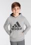 Adidas Sportswear Hoodie ADIDAS ESSENTIALS HOODIE - Thumbnail 1